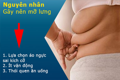 bài tập giảm mỡ lưng