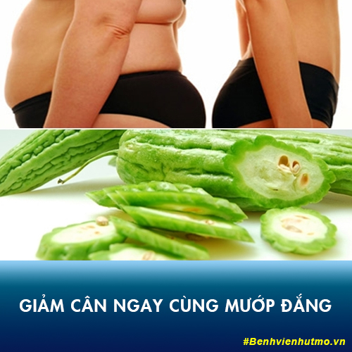 mướp đắng giảm cân