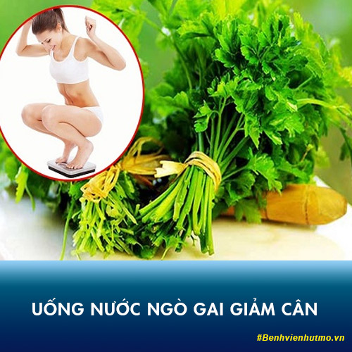 Uống nước ngò rí, ngò gai giảm cân THẦN THÁNH 5kg/1 tuần lễ