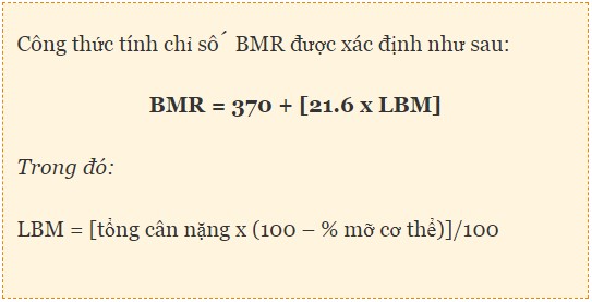 Tính chỉ số BMR