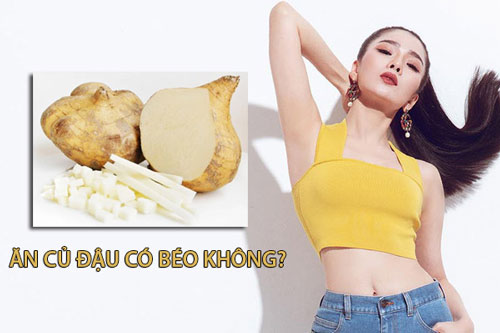 ăn củ đậu có mập không