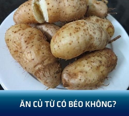 Ăn củ từ có béo không? 5 cách ăn củ từ không lo tăng cân!