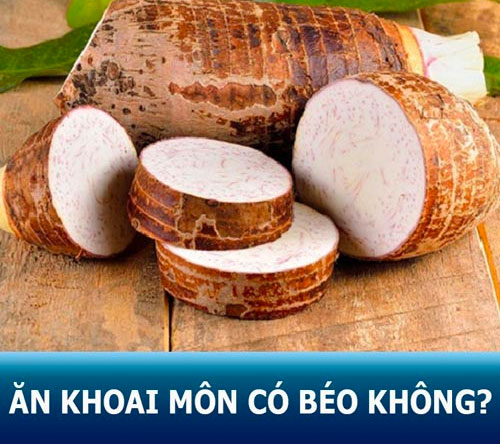 Ăn khoai môn có béo không? 5 cách ăn khoai môn không bị mập!