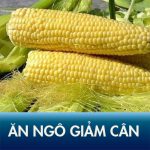 Ăn ngô có béo không? Giảm 5kg với thực đơn ăn kiêng cùng ngô trong 1 tháng