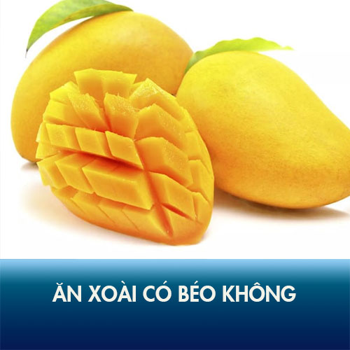 Ăn xoài có béo không? 7 cách ăn xoài thả ga không lo tăng cân!