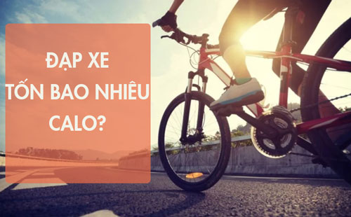 đạp xe tốn bao nhiêu calo