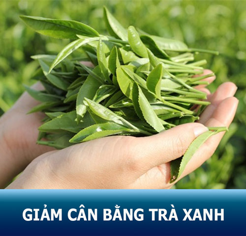 TOP 7 bí quyết giảm cân bằng trà xanh đơn giản – hiệu quả cao ngay tại nhà