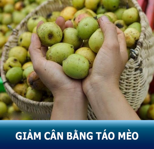 Bật mí 5 cách giảm cân bằng táo mèo trong 1 tuần loại bỏ ngay 2 – 3kg