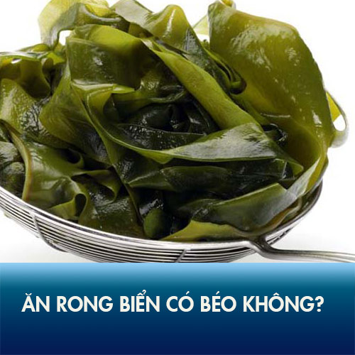 Ăn rong biển có béo không? 6 công thức giảm cân tại nhà bằng rong biển!