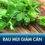 Top 5 bí quyết giảm cân bằng rau mùi – Giảm 3kg, 10cm size bụng sau 1 tuần