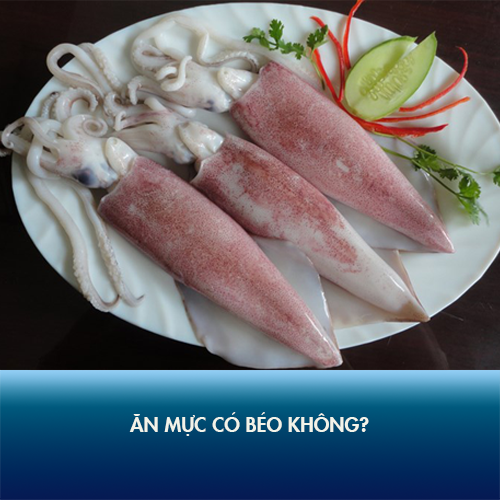 Ăn mực có béo không? 1 Lạng mực chứa bao nhiêu Calo